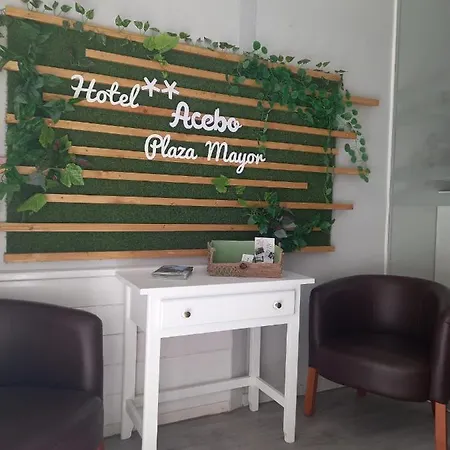호텔 Acebo Plaza Mayor