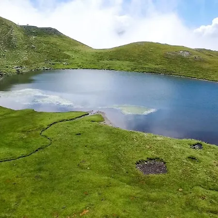 Acebo Plaza Mayor Jaca