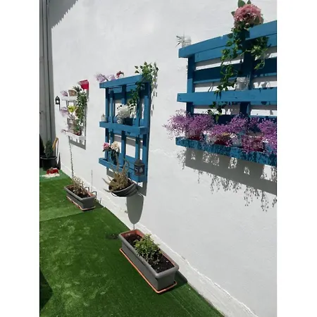 Acebo Plaza Mayor Hotel 2*