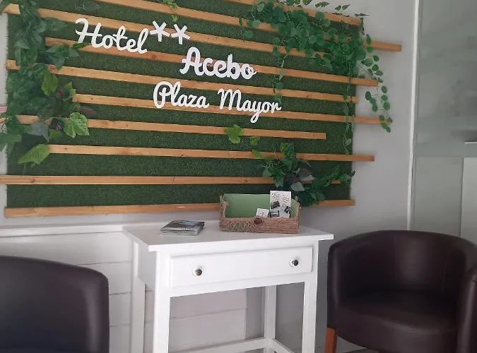 ホテル Acebo Plaza Mayor