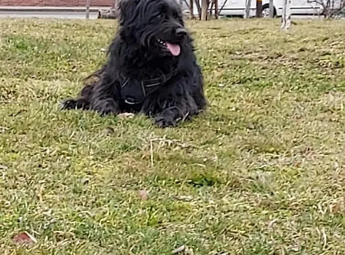 Hotel Acebo Plaza Mayor Jaca