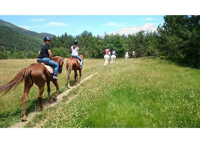 Acebo Plaza Mayor 2* ハカ