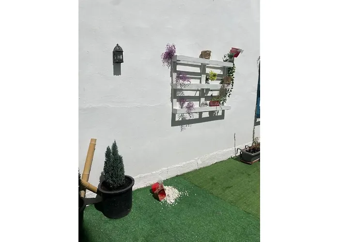 ホテル Acebo Plaza Mayor